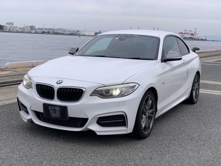 BMW 2 SERIES 3.0 M235i Auto Euro 6 (s/s) 2dr